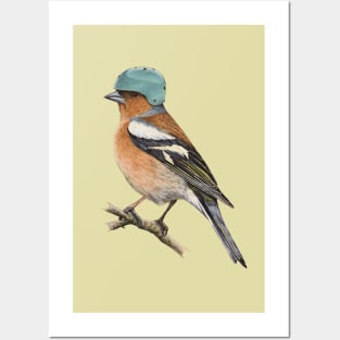 Chaffinch Posters and Art